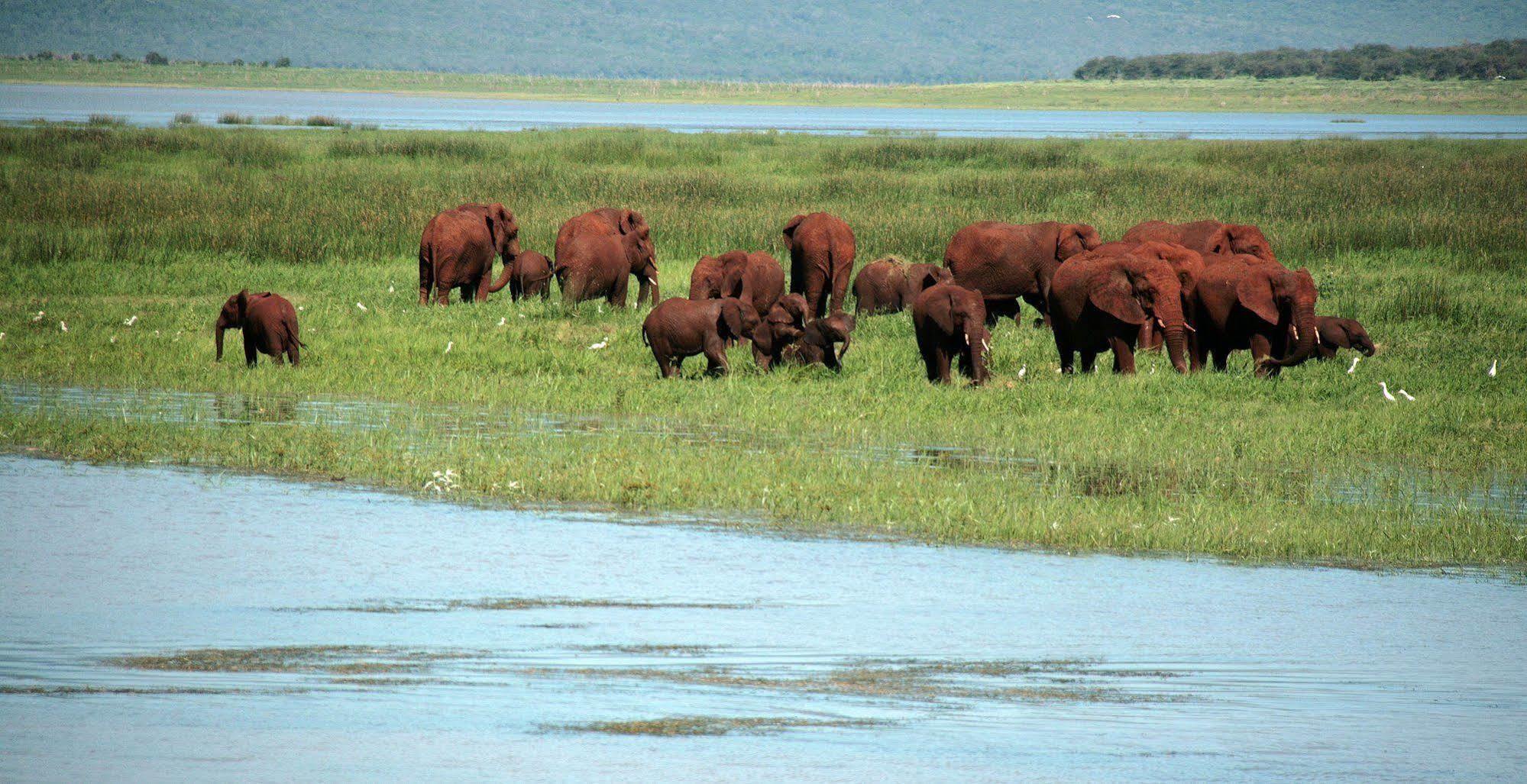 Shayamoya Tiger Fishing And Game Lodge Понгола Екстериор снимка