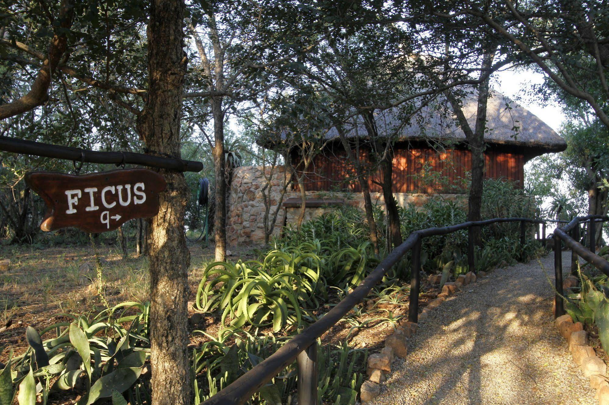 Shayamoya Tiger Fishing And Game Lodge Понгола Екстериор снимка
